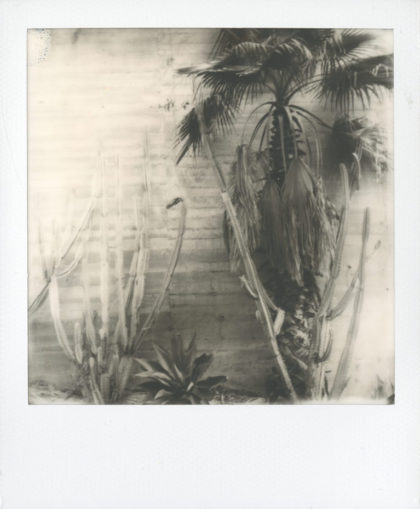 David Bartholow