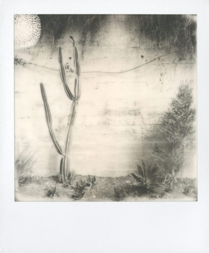 David Bartholow
