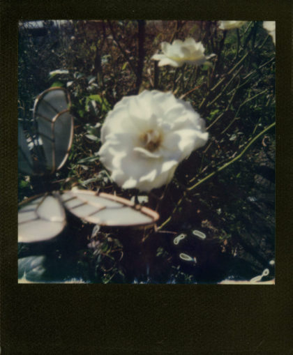 Heather Brown