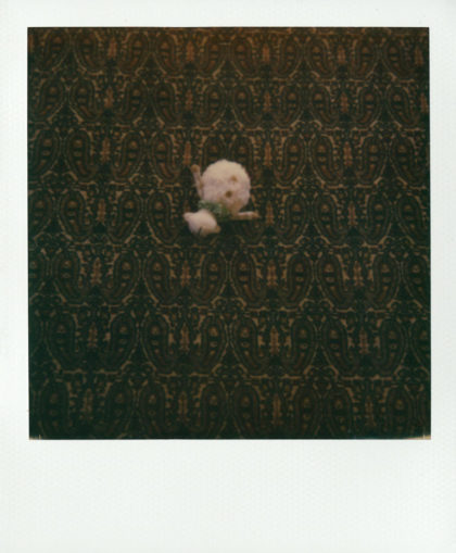 Norbert Brunner