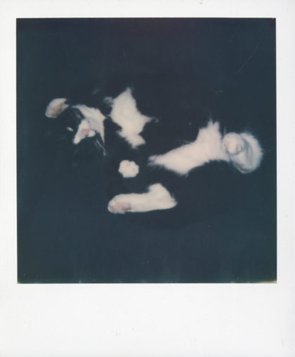 Paul Ravenscroft
